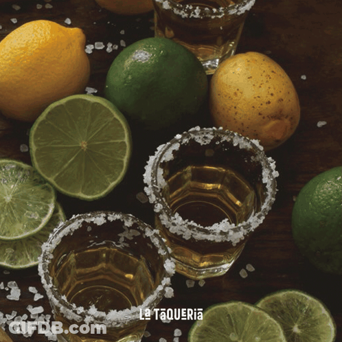 Vote Sign Surrounded By Shot Glasses And Limes GIF