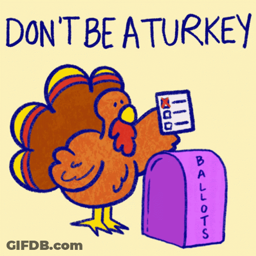 Vote Turkey Dropping Ballots GIF