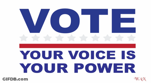 Vote Your Voice Is Your Power Sign GIF