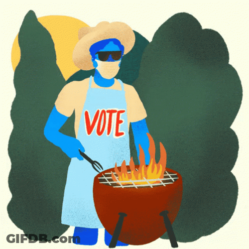 Voting Election Grilling GIF
