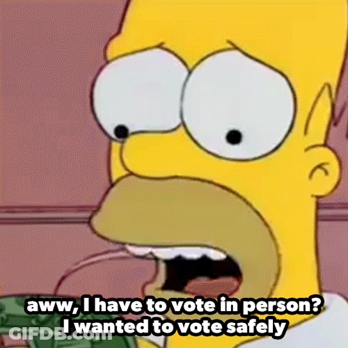Voting Hours Homer Meme GIF