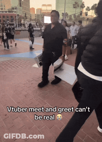 Vtuber Meet And Greet Can't Be Real On Brick Sidewalk GIF