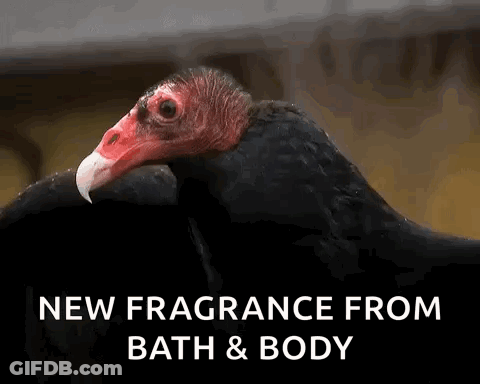 Vulture New Fragrance From Bath & Body GIF