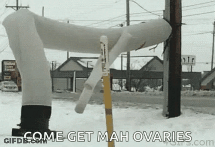 Wacky Waving Inflatable Tube Man Come Get My Ovaries Snow GIF