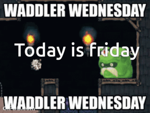Waddler Wednesday Today Is Friday Waddler Wednesday Waddler Wednesday Waddler Wednesday Waddler Wednesday Waddler Wednes GIF