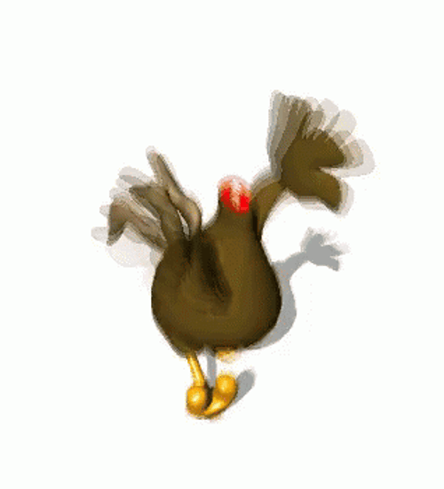 Waddling Chicken Run GIF