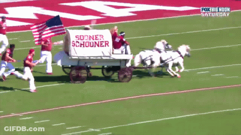 Wagon Saying Sooner Schouner Pulled By Horses GIF