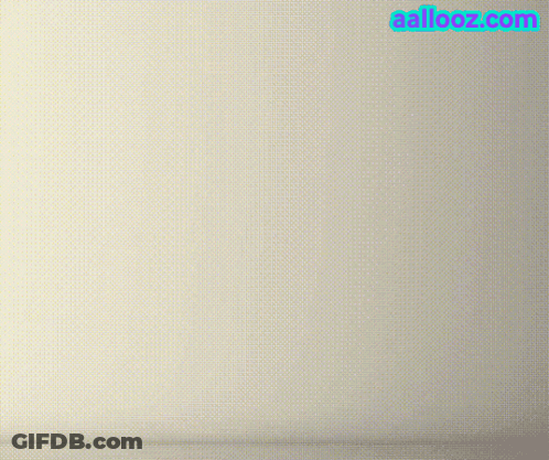 Wah Shampy Wah Written In Red On A White Background GIF