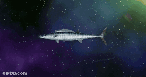 Wahoo In Yellow On Blue GIF
