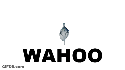 Wahoo Logo With Fish Background GIF