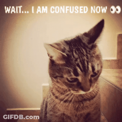 Wait Im Confused Now GIF