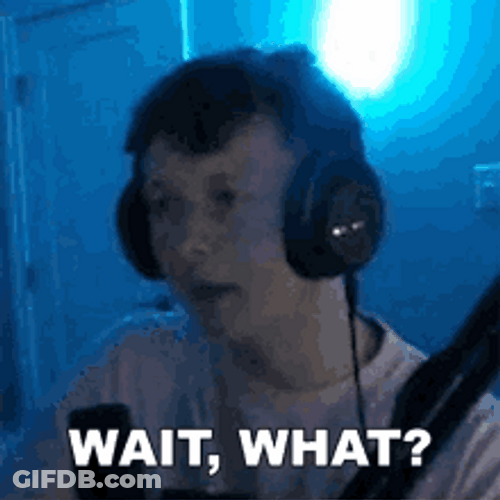 Wait What Did You Say GIF