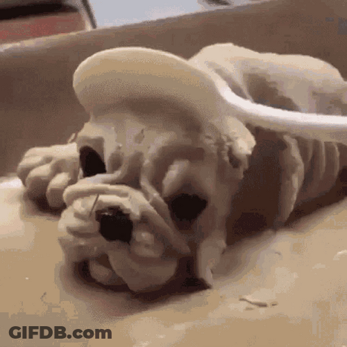 Wait What Scared Dog Slice GIF
