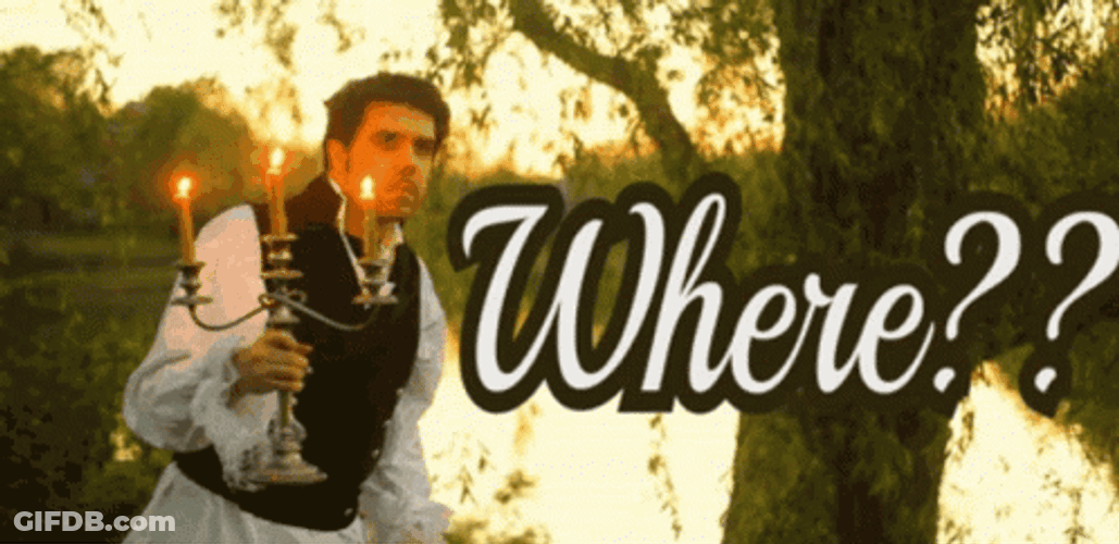 Waiter Where GIF