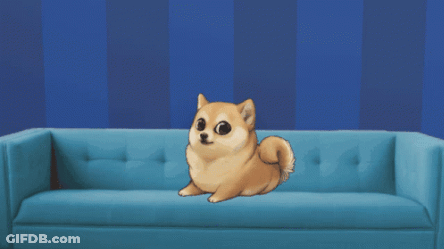 Waiting Corgi Couch Meme GIF