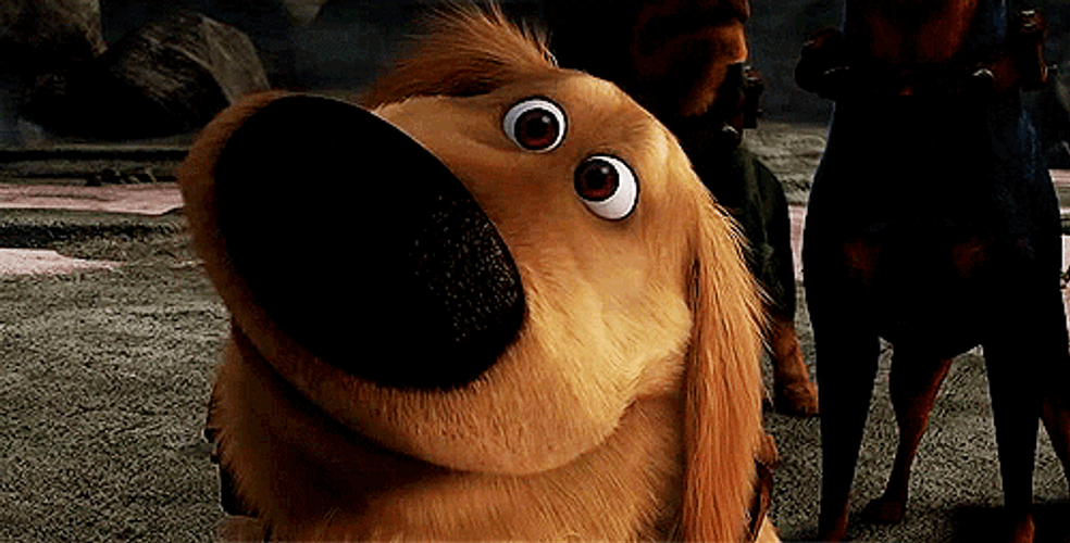 Waiting Dog Disney Up GIF