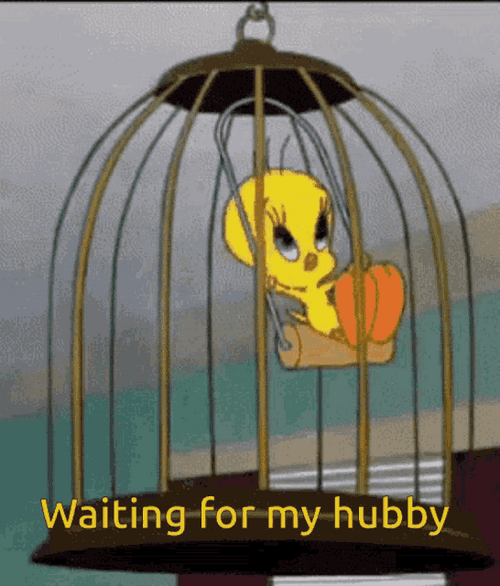 Waiting For My Hubby Tweety GIF