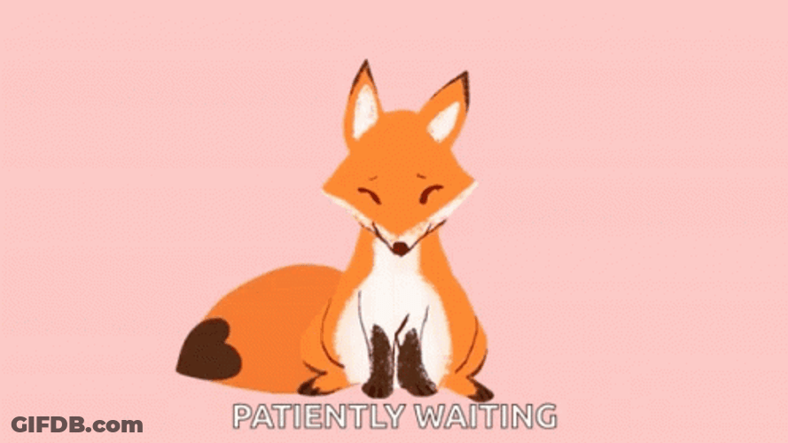 Waiting Patiently Fox Animation GIF