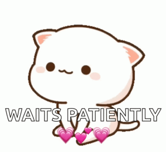 Waiting Patiently Mochi Cat GIF