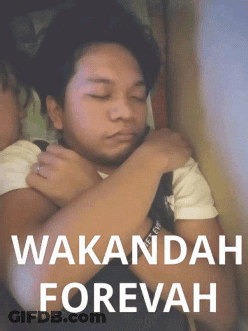 Wakanda Forever Funny Sleeping GIF