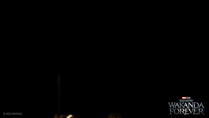 Wakanda Out Of The Shadow GIF