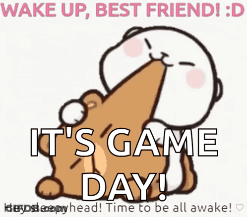 Wake Up Best Friend Game Day Poster GIF