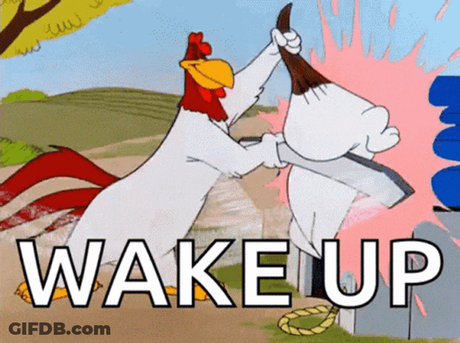Wake Up GIF