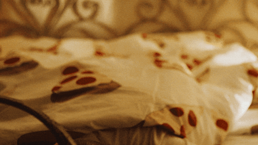 Wake Up Its Gameday Alarm Snoozing GIF