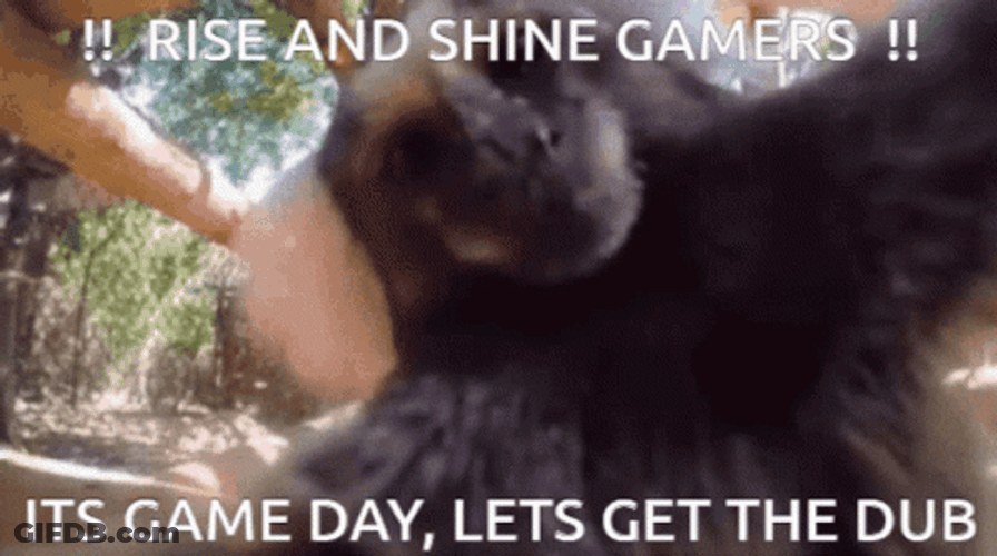 Wake Up Its Gameday Monkey Kissing GIF