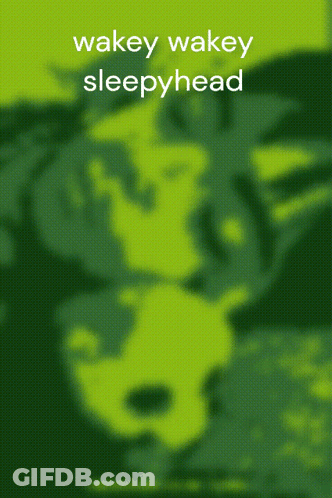 Wakey Wakey Sleepyhead Is Written On A Green Background GIF