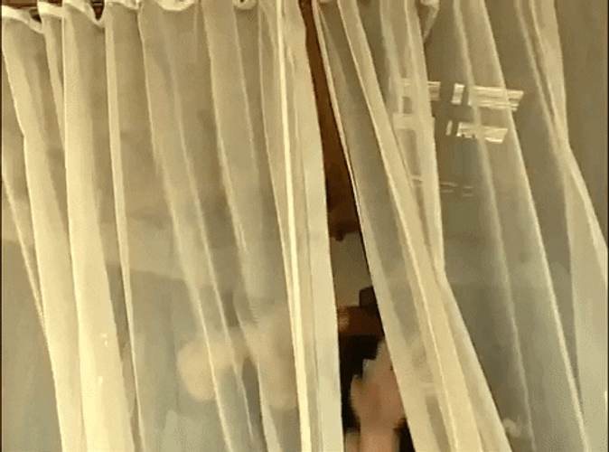 Waking Up Curtain Opening GIF
