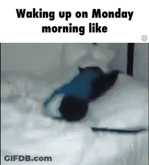 Waking Up On Monday Morning Like GIF