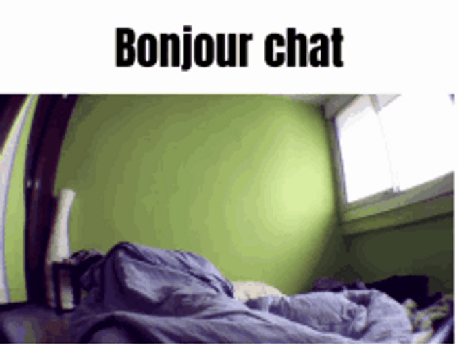 Waking Up Ready To Bonjour Chat GIF