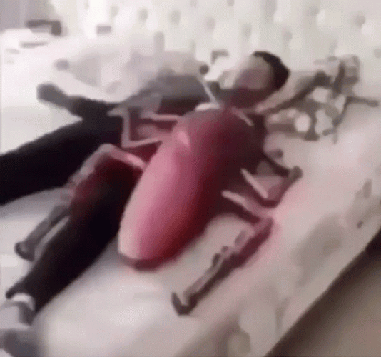 Waking Up With A Bug GIF