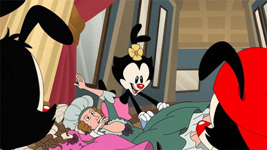 Wakko Warner Animaniacs GIF