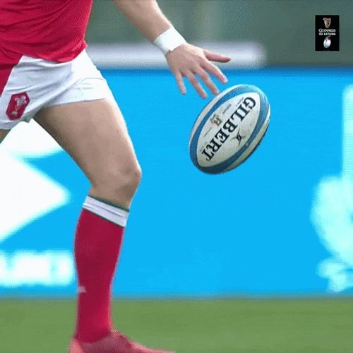 Wales Rugby Punt Kick GIF
