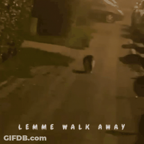 Walk Away Chubby Cat GIF