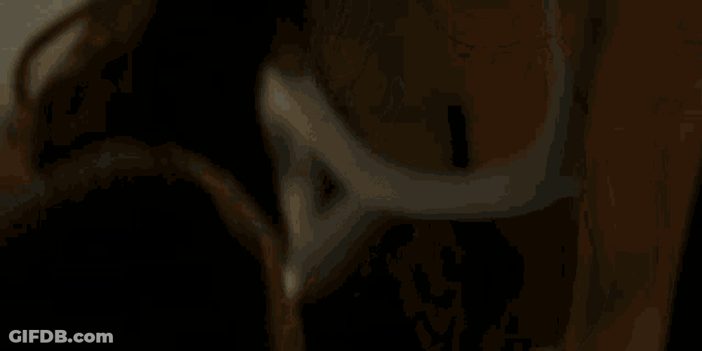 Walker Micki Ramirez GIF