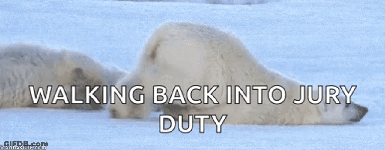 Walking Back To Jury Duty Polar Bear Crawling GIF