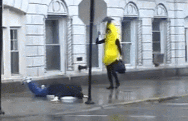 Walking Banana Slipping GIF