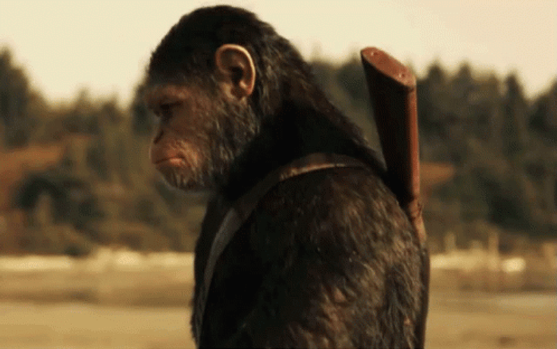 Walking Caesar Brings Weapon GIF