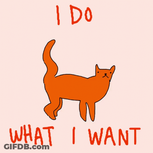 Walking Cat I Do What I Want GIF