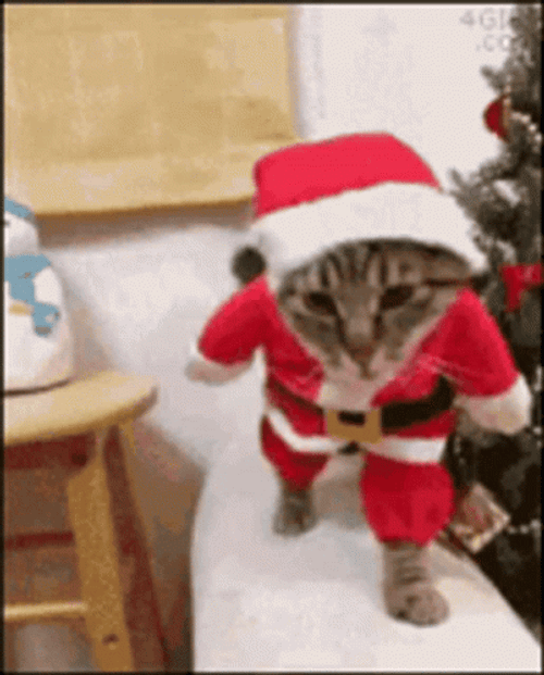 Walking Cat Santa Claus Costume GIF