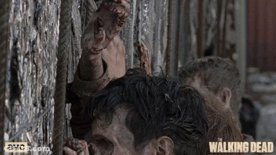 Walking Dead Season 8 Zombies GIF