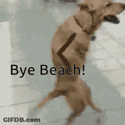Walking Dog Bye Meme GIF