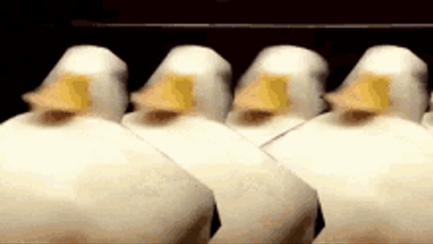 Walking Duck Squad Shaking Head Dance GIF