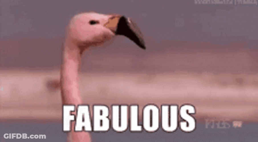 Walking Flamingo Fabulous GIF