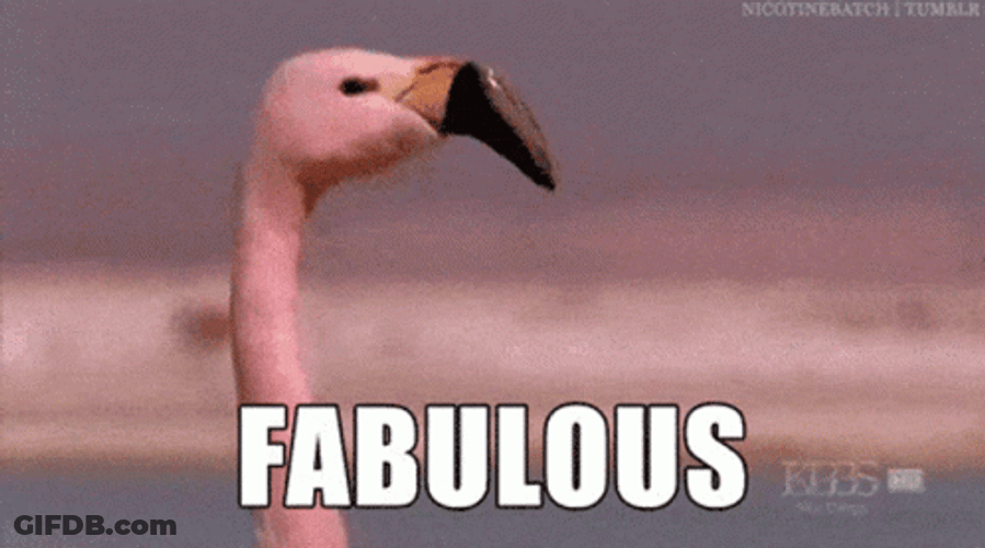 Walking Flamingo GIF