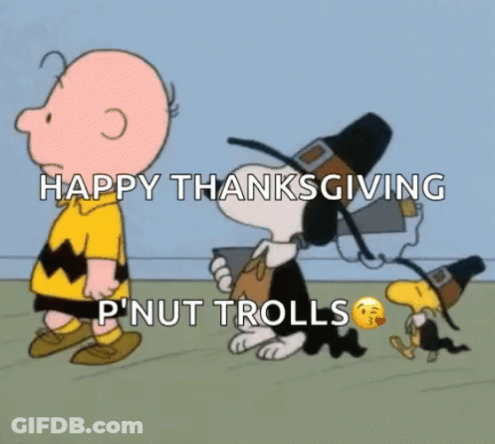 Walking Happy Thanksgiving Snoopy And Friend GIF