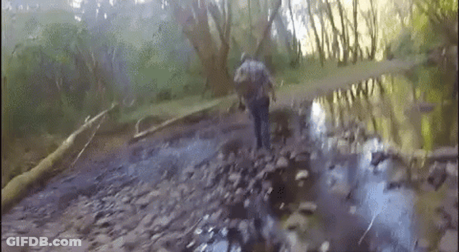Walking In A Swamp GIF